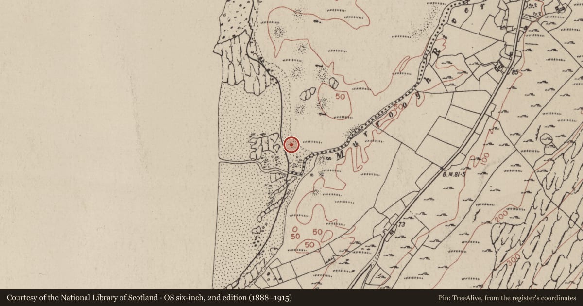 Ordnance Survey six-inch map, 2nd edition (1888–1915) covering the location of House - indeterminate date, Murrooghtoohy South, County Clare, with a pin at the register's coordinates