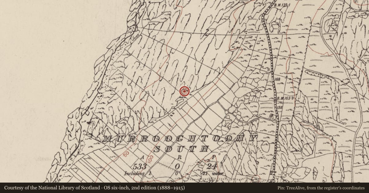 Ordnance Survey six-inch map, 2nd edition (1888–1915) covering the location of Fulacht fia, Murrooghtoohy South, County Clare, with a pin at the register's coordinates