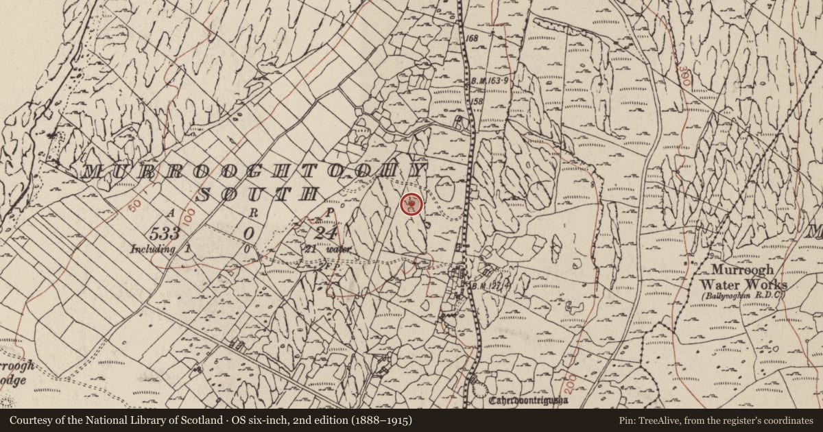 Ordnance Survey six-inch map, 2nd edition (1888–1915) covering the location of Fulacht fia, Murrooghtoohy South, County Clare, with a pin at the register's coordinates