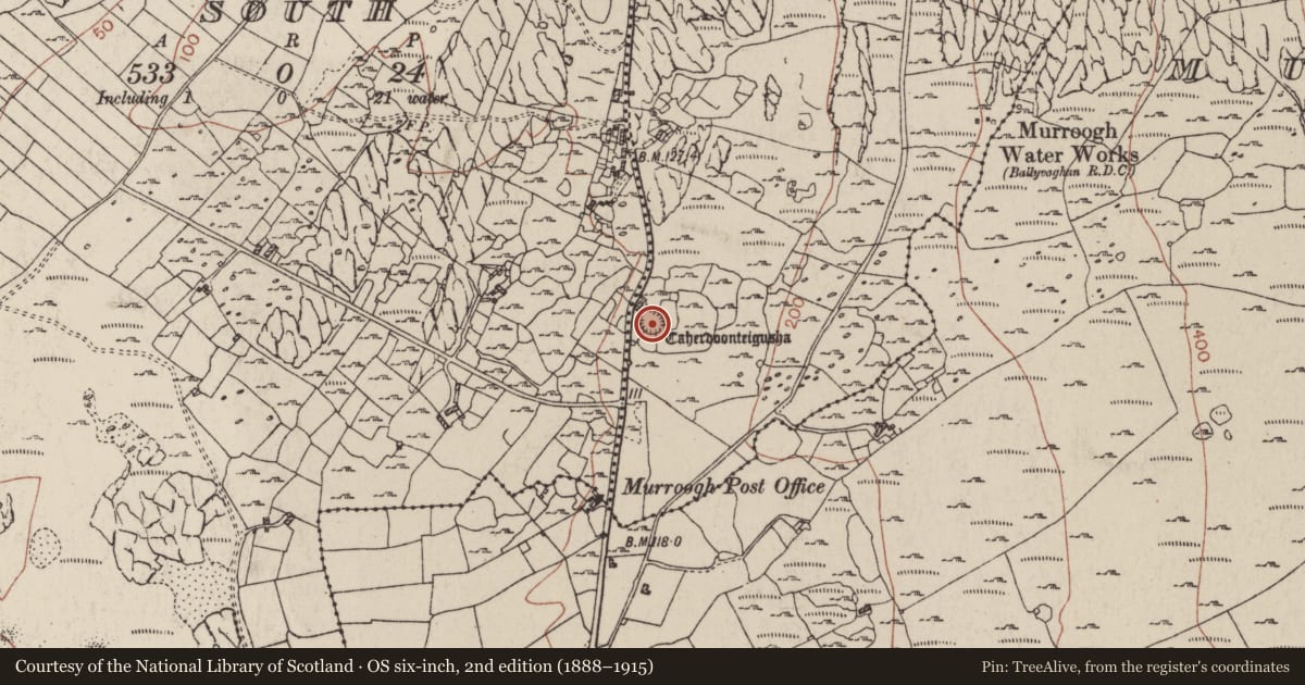 Ordnance Survey six-inch map, 2nd edition (1888–1915) covering the location of Ringfort - cashel, Murrooghtoohy North, County Clare, with a pin at the register's coordinates