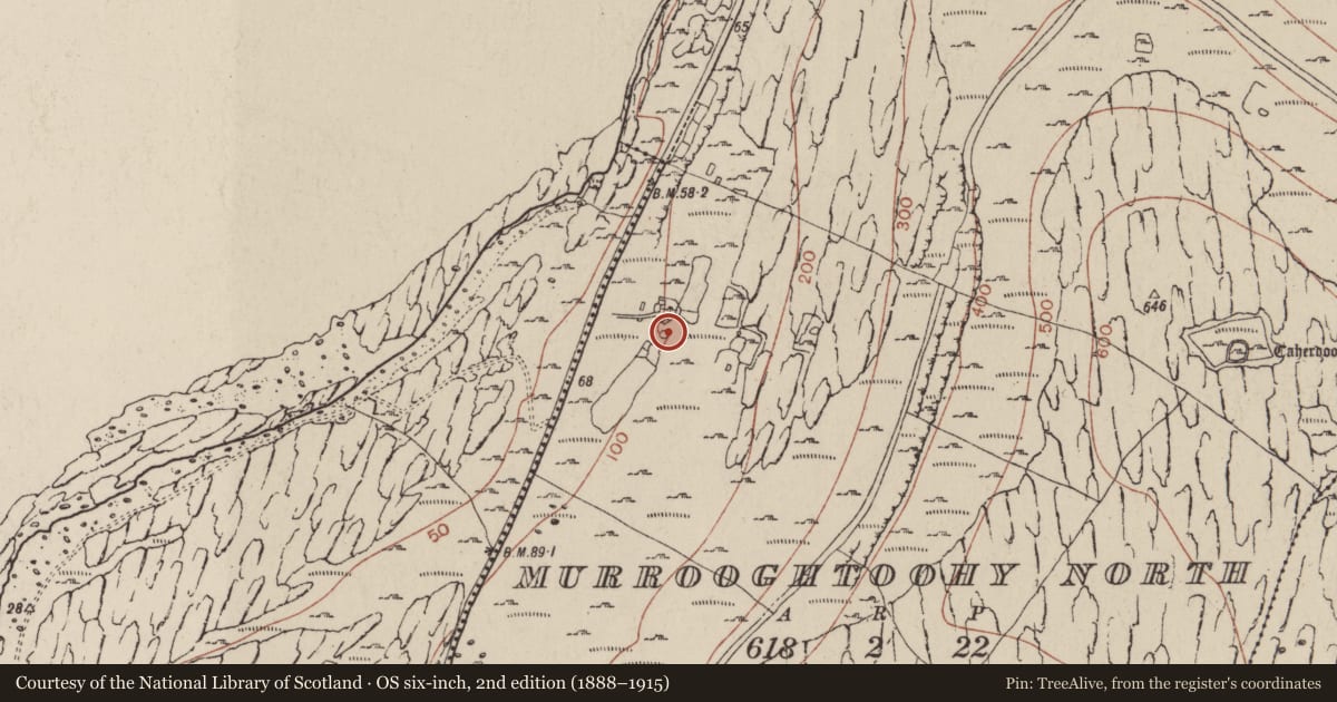 Ordnance Survey six-inch map, 2nd edition (1888–1915) covering the location of Fulacht fia, Murrooghtoohy North, County Clare, with a pin at the register's coordinates