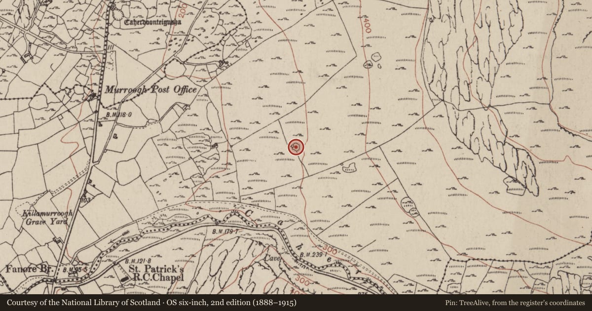 Ordnance Survey six-inch map, 2nd edition (1888–1915) covering the location of Enclosure, Murrooghkilly, County Clare, with a pin at the register's coordinates