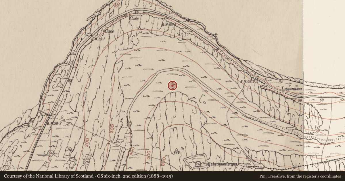 Ordnance Survey six-inch map, 2nd edition (1888–1915) covering the location of Ringfort - cashel, Murrooghtoohy North, County Clare, with a pin at the register's coordinates
