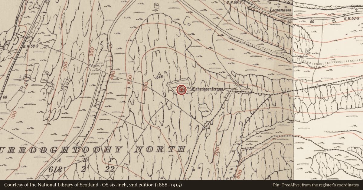 Ordnance Survey six-inch map, 2nd edition (1888–1915) covering the location of Ringfort - cashel, Murrooghtoohy North, County Clare, with a pin at the register's coordinates
