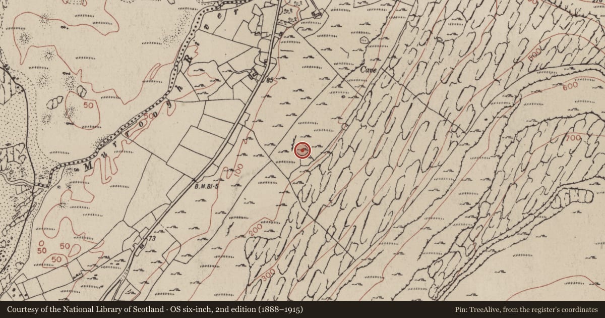 Ordnance Survey six-inch map, 2nd edition (1888–1915) covering the location of Ringfort - cashel, Fanore More, County Clare, with a pin at the register's coordinates