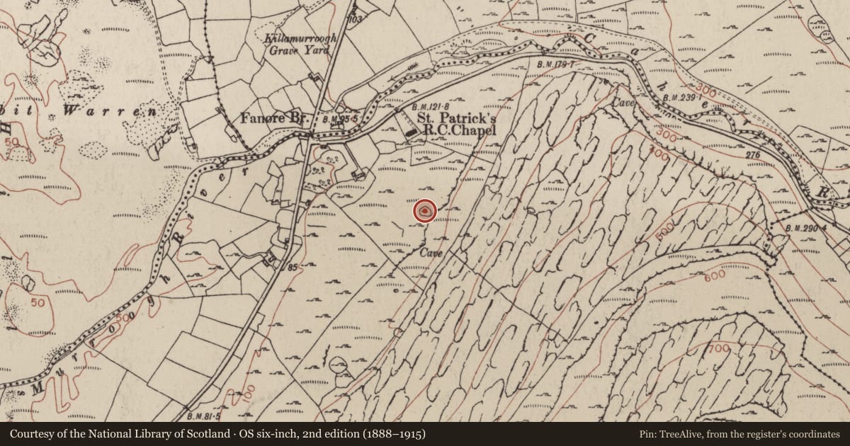 Ordnance Survey six-inch map, 2nd edition (1888–1915) covering the location of Enclosure, Fanore More, County Clare, with a pin at the register's coordinates