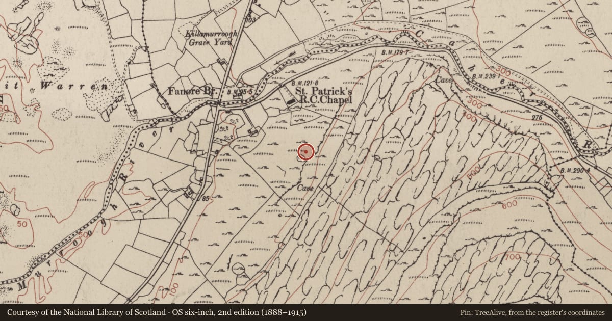 Ordnance Survey six-inch map, 2nd edition (1888–1915) covering the location of Hut site, Fanore More, County Clare, with a pin at the register's coordinates