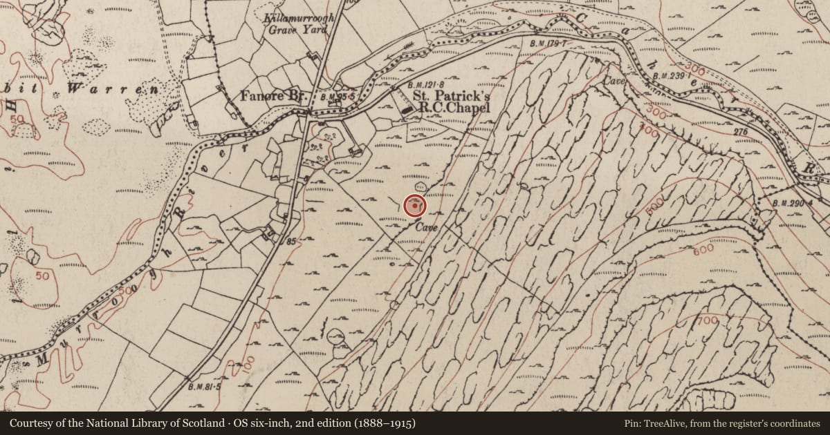 Ordnance Survey six-inch map, 2nd edition (1888–1915) covering the location of Hut site, Fanore More, County Clare, with a pin at the register's coordinates
