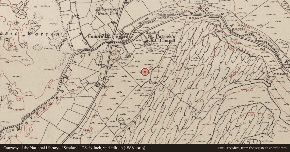 Ordnance Survey six-inch map, 2nd edition (1888–1915) covering the location of House - indeterminate date, Fanore More, County Clare, with a pin at the register's coordinates