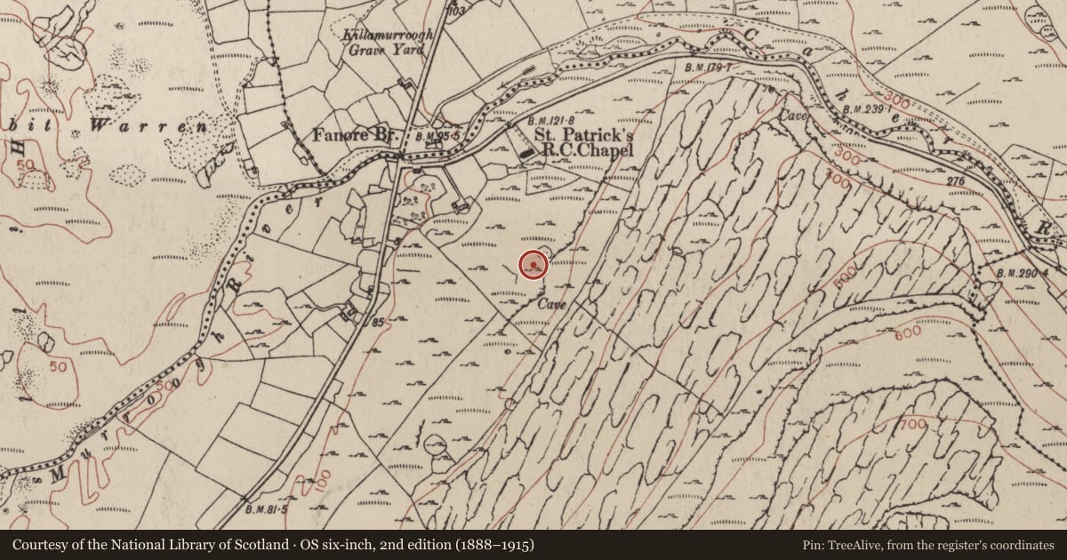 Ordnance Survey six-inch map, 2nd edition (1888–1915) covering the location of Field system, Fanore More, County Clare, with a pin at the register's coordinates