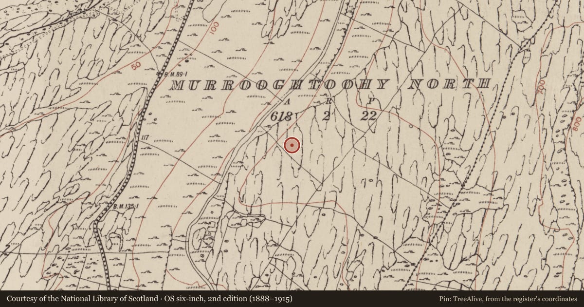 Ordnance Survey six-inch map, 2nd edition (1888–1915) covering the location of Cairn - unclassified, Murrooghtoohy North, County Clare, with a pin at the register's coordinates