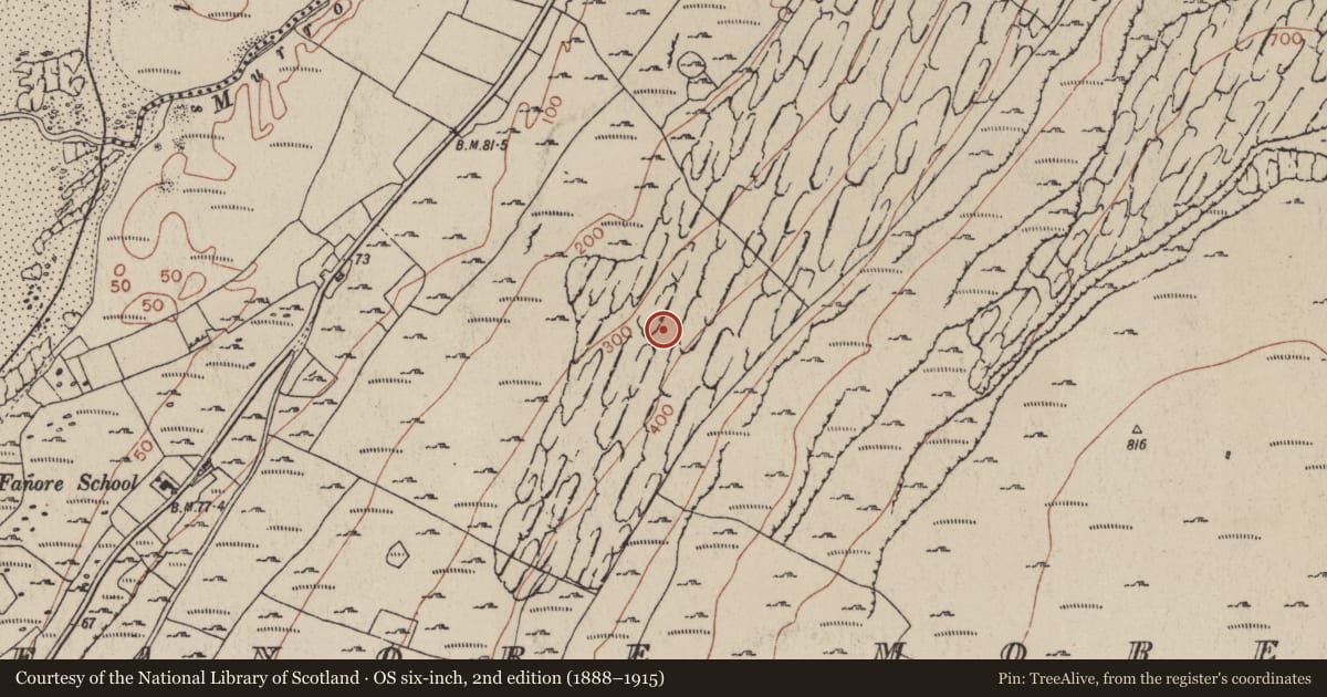 Ordnance Survey six-inch map, 2nd edition (1888–1915) covering the location of Turf stand, Fanore More, County Clare, with a pin at the register's coordinates