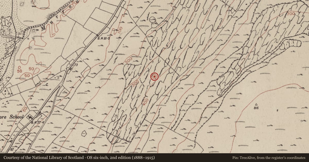 Ordnance Survey six-inch map, 2nd edition (1888–1915) covering the location of Turf stand, Fanore More, County Clare, with a pin at the register's coordinates