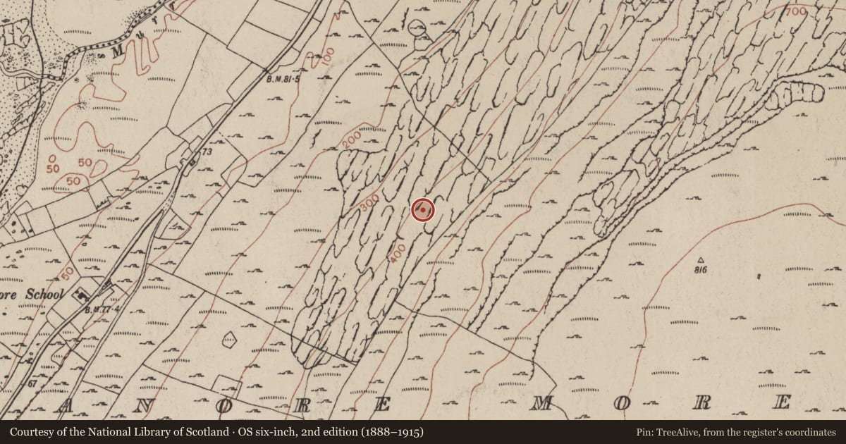 Ordnance Survey six-inch map, 2nd edition (1888–1915) covering the location of Turf stand, Fanore More, County Clare, with a pin at the register's coordinates
