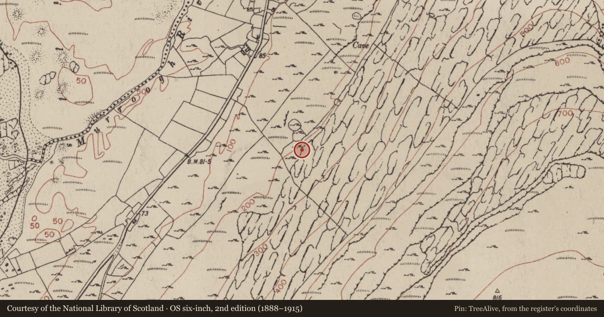 Ordnance Survey six-inch map, 2nd edition (1888–1915) covering the location of Turf stand, Fanore More, County Clare, with a pin at the register's coordinates