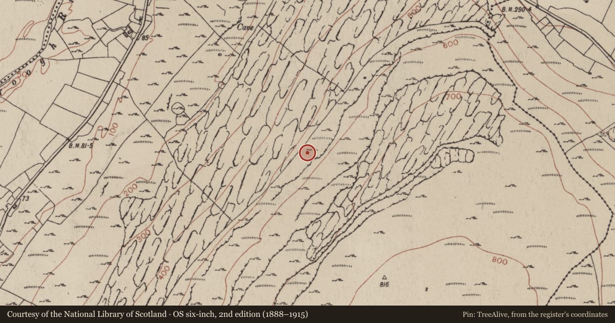 Ordnance Survey six-inch map, 2nd edition (1888–1915) covering the location of House - indeterminate date, Fanore More, County Clare, with a pin at the register's coordinates