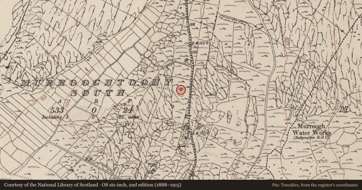 Ordnance Survey six-inch map, 2nd edition (1888–1915) covering the location of Enclosure, Murrooghtoohy South, County Clare, with a pin at the register's coordinates