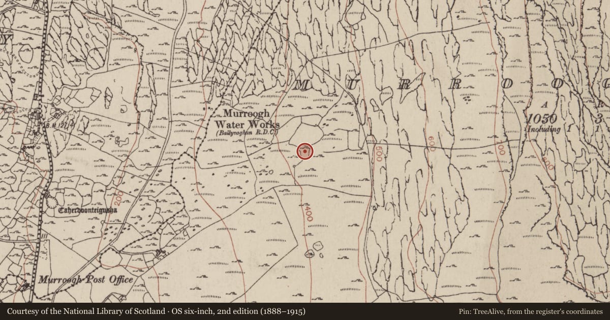 Ordnance Survey six-inch map, 2nd edition (1888–1915) covering the location of Field system, Murrooghkilly, County Clare, with a pin at the register's coordinates