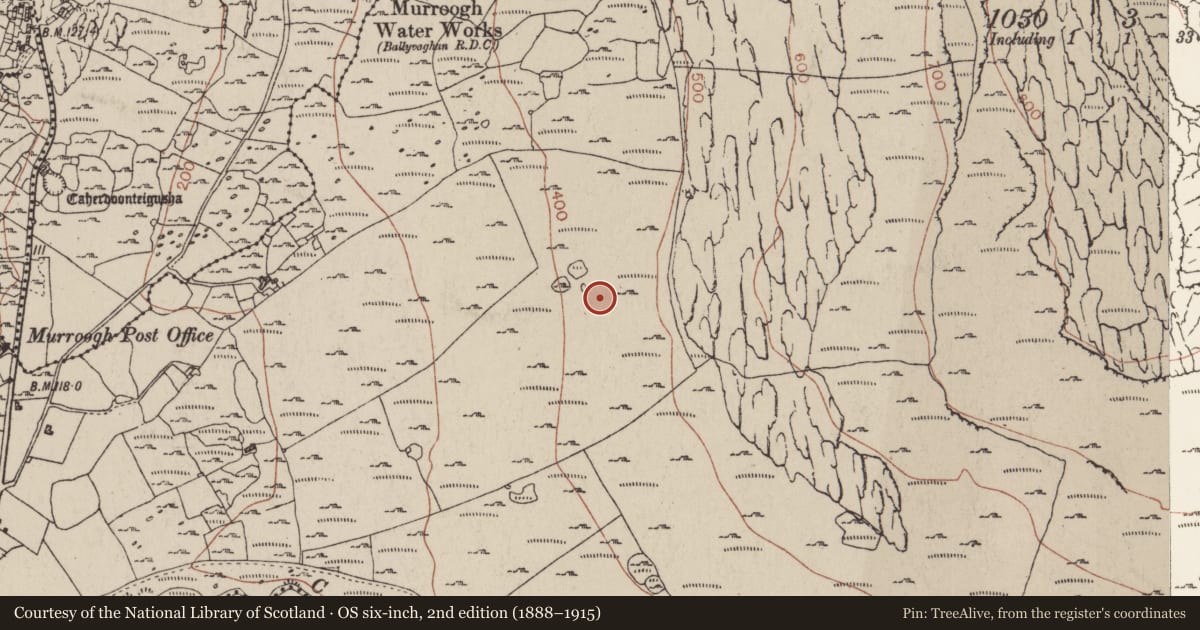 Ordnance Survey six-inch map, 2nd edition (1888–1915) covering the location of Field system, Murrooghkilly, County Clare, with a pin at the register's coordinates
