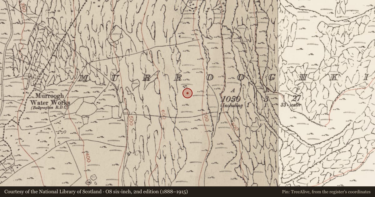 Ordnance Survey six-inch map, 2nd edition (1888–1915) covering the location of Field system, Murrooghkilly, County Clare, with a pin at the register's coordinates