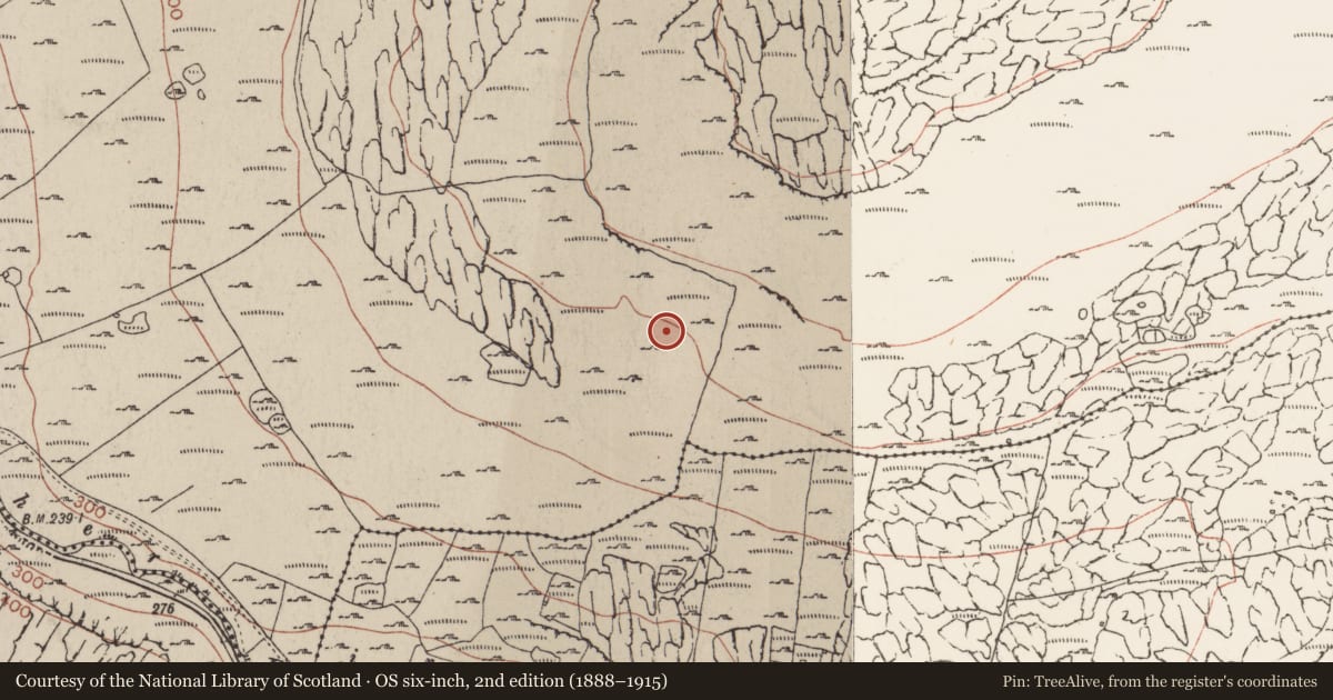 Ordnance Survey six-inch map, 2nd edition (1888–1915) covering the location of Enclosure, Murrooghkilly, County Clare, with a pin at the register's coordinates