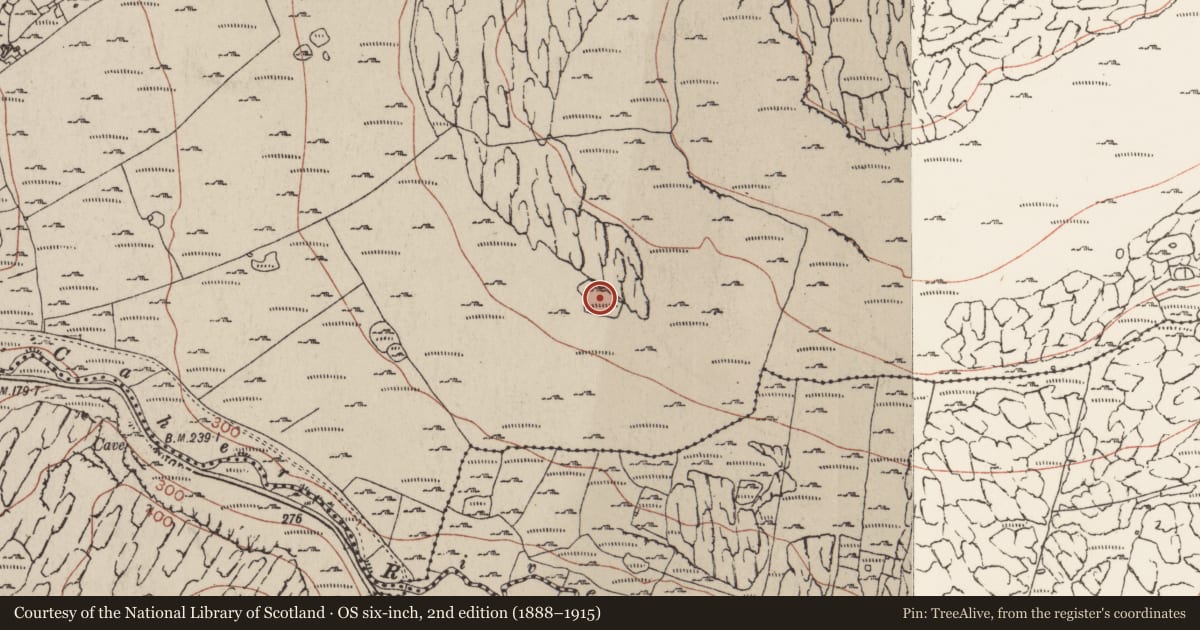 Ordnance Survey six-inch map, 2nd edition (1888–1915) covering the location of Field system, Murrooghkilly, County Clare, with a pin at the register's coordinates
