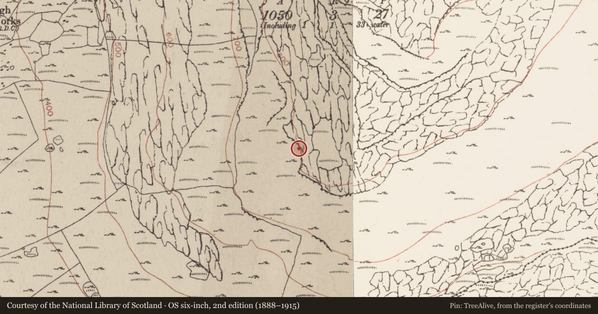Ordnance Survey six-inch map, 2nd edition (1888–1915) covering the location of Enclosure, Murrooghkilly, County Clare, with a pin at the register's coordinates