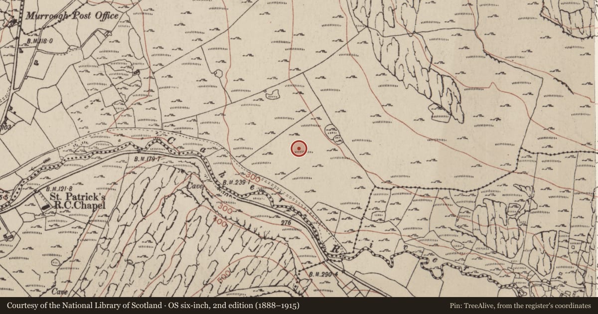Ordnance Survey six-inch map, 2nd edition (1888–1915) covering the location of Enclosure, Murrooghkilly, County Clare, with a pin at the register's coordinates