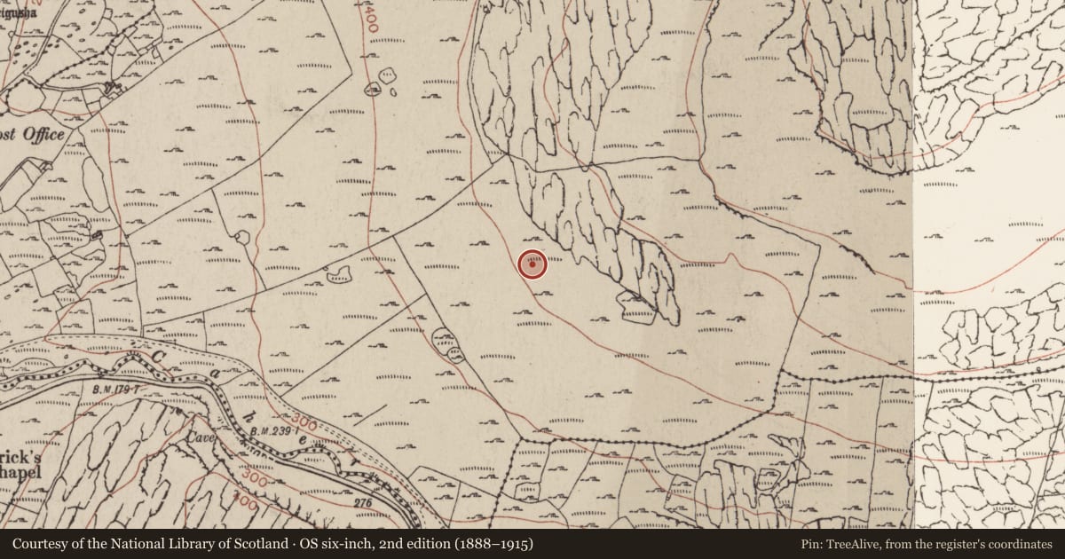 Ordnance Survey six-inch map, 2nd edition (1888–1915) covering the location of Field system, Formoyle East, Murrooghkilly, County Clare, with a pin at the register's coordinates