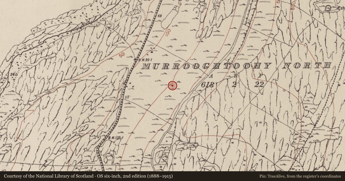 Ordnance Survey six-inch map, 2nd edition (1888–1915) covering the location of Fulacht fia, Murrooghtoohy North, County Clare, with a pin at the register's coordinates