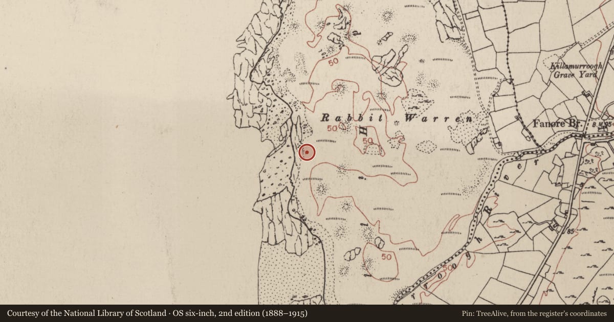 Ordnance Survey six-inch map, 2nd edition (1888–1915) covering the location of Burial, Murrooghtoohy South, County Clare, with a pin at the register's coordinates
