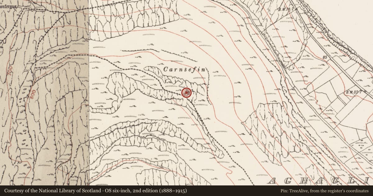 Ordnance Survey six-inch map, 2nd edition (1888–1915) covering the location of Cairn - unclassified, Aghaglinny North, County Clare, with a pin at the register's coordinates