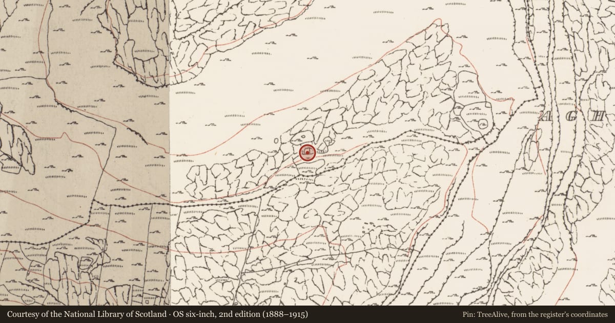 Ordnance Survey six-inch map, 2nd edition (1888–1915) covering the location of Enclosure, Murrooghkilly, County Clare, with a pin at the register's coordinates