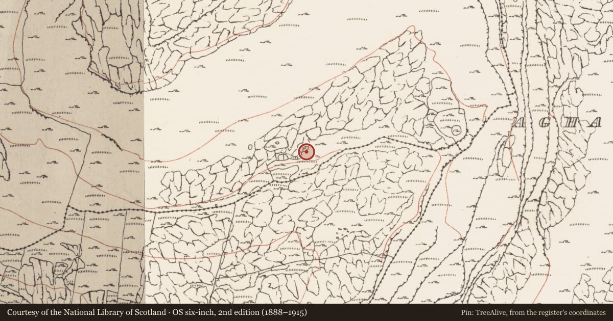 Ordnance Survey six-inch map, 2nd edition (1888–1915) covering the location of Field system, Murrooghkilly, County Clare, with a pin at the register's coordinates