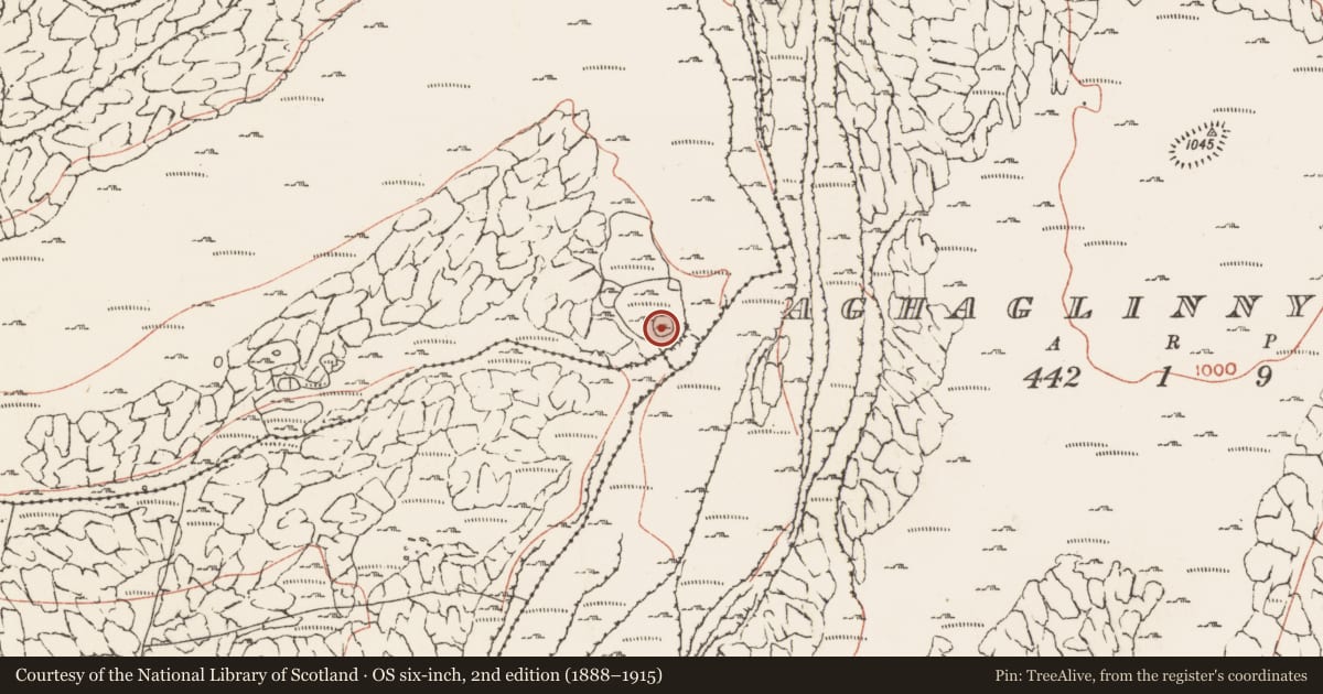 Ordnance Survey six-inch map, 2nd edition (1888–1915) covering the location of Enclosure, Murrooghkilly, County Clare, with a pin at the register's coordinates