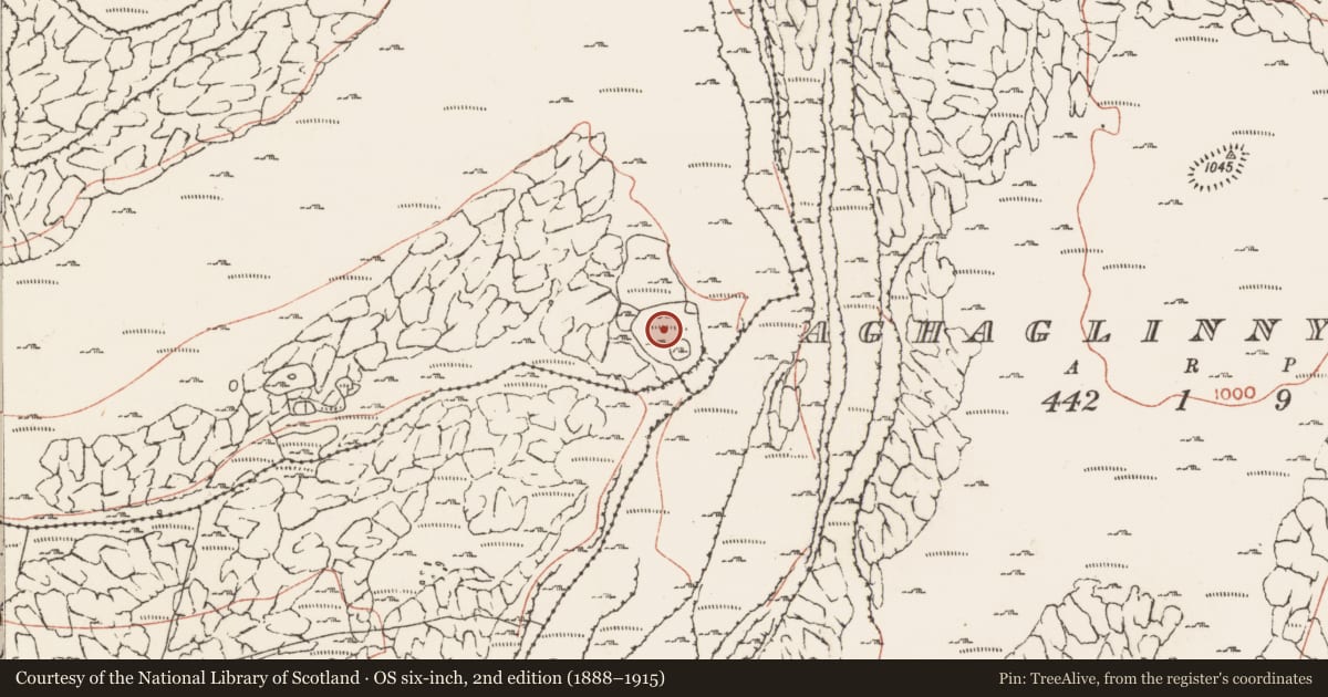 Ordnance Survey six-inch map, 2nd edition (1888–1915) covering the location of Enclosure, Murrooghkilly, County Clare, with a pin at the register's coordinates