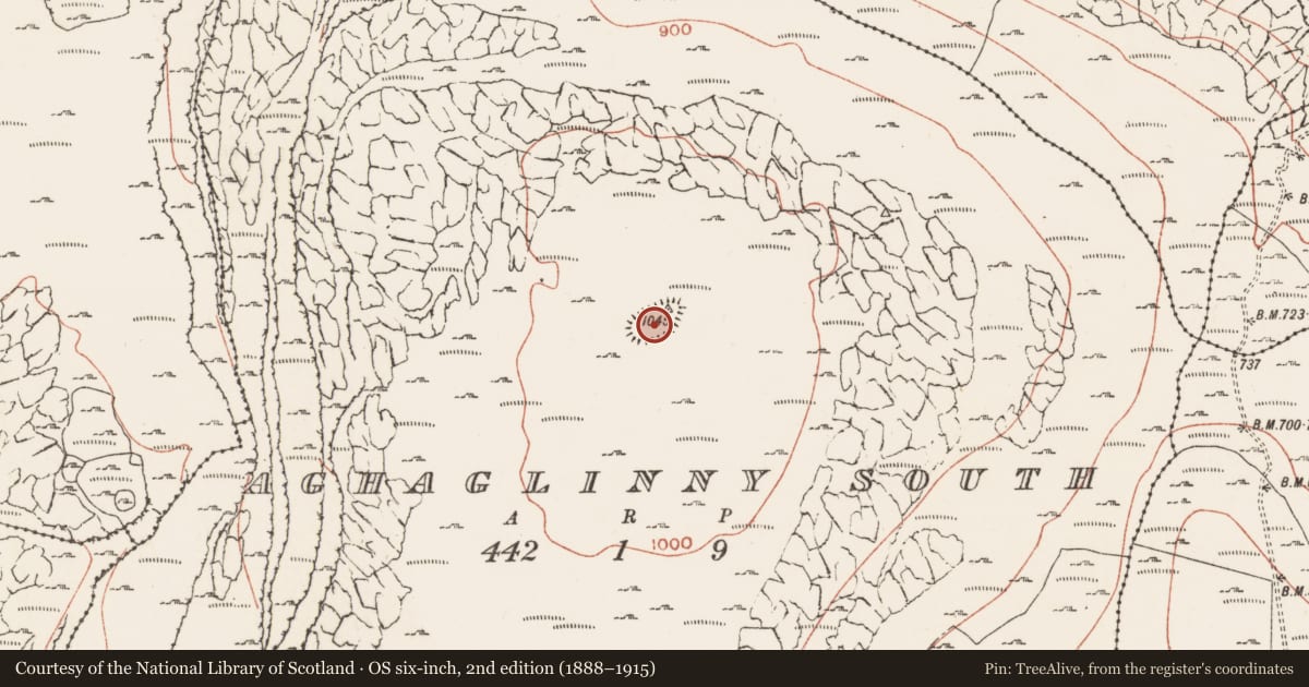 Ordnance Survey six-inch map, 2nd edition (1888–1915) covering the location of Enclosure, Aghaglinny South, County Clare, with a pin at the register's coordinates