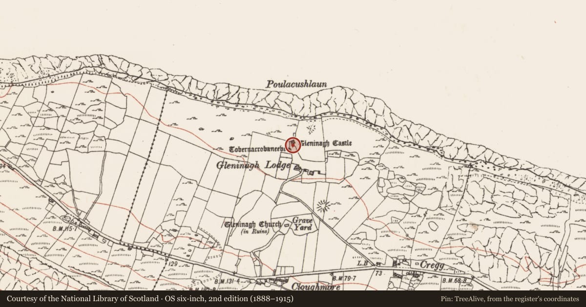 Ordnance Survey six-inch map, 2nd edition (1888–1915) covering the location of Castle - tower house, Gleninagh North, County Clare, with a pin at the register's coordinates
