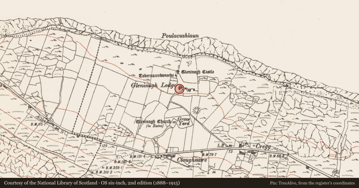 Ordnance Survey six-inch map, 2nd edition (1888–1915) covering the location of Graveslab, Gleninagh North, County Clare, with a pin at the register's coordinates