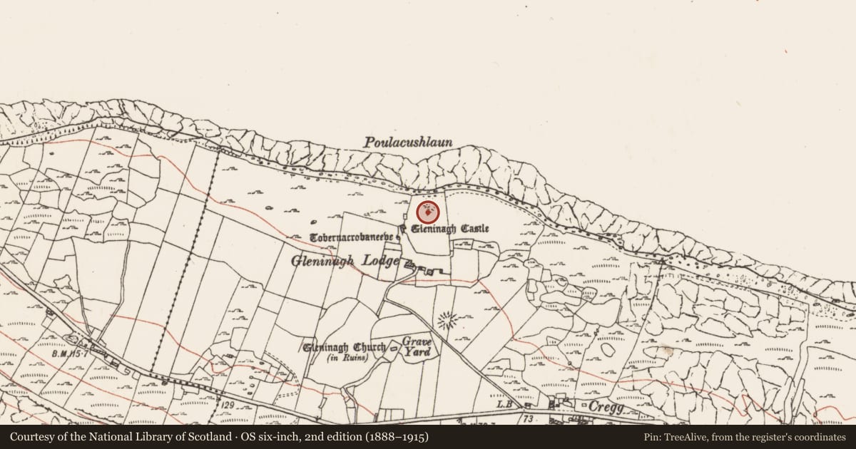 Ordnance Survey six-inch map, 2nd edition (1888–1915) covering the location of Fulacht fia, Gleninagh North, County Clare, with a pin at the register's coordinates