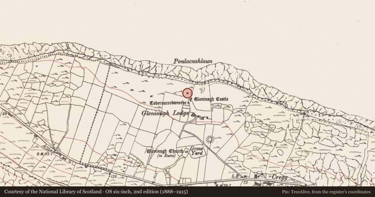 Ordnance Survey six-inch map, 2nd edition (1888–1915) covering the location of Fulacht fia, Gleninagh North, County Clare, with a pin at the register's coordinates