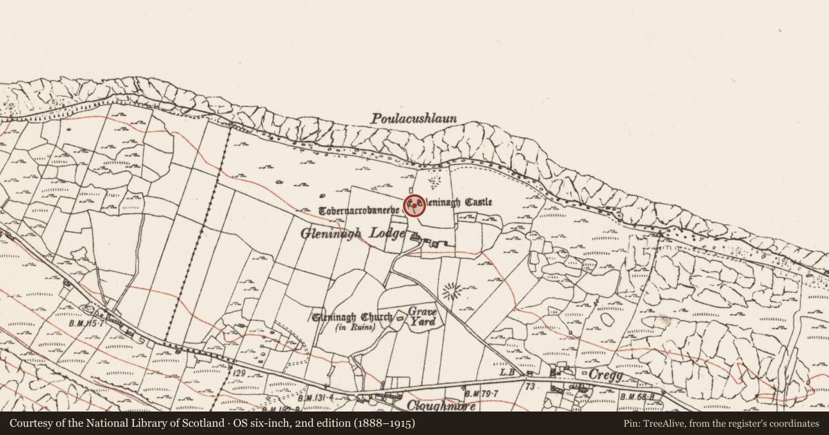 Ordnance Survey six-inch map, 2nd edition (1888–1915) covering the location of Fulacht fia, Gleninagh North, County Clare, with a pin at the register's coordinates