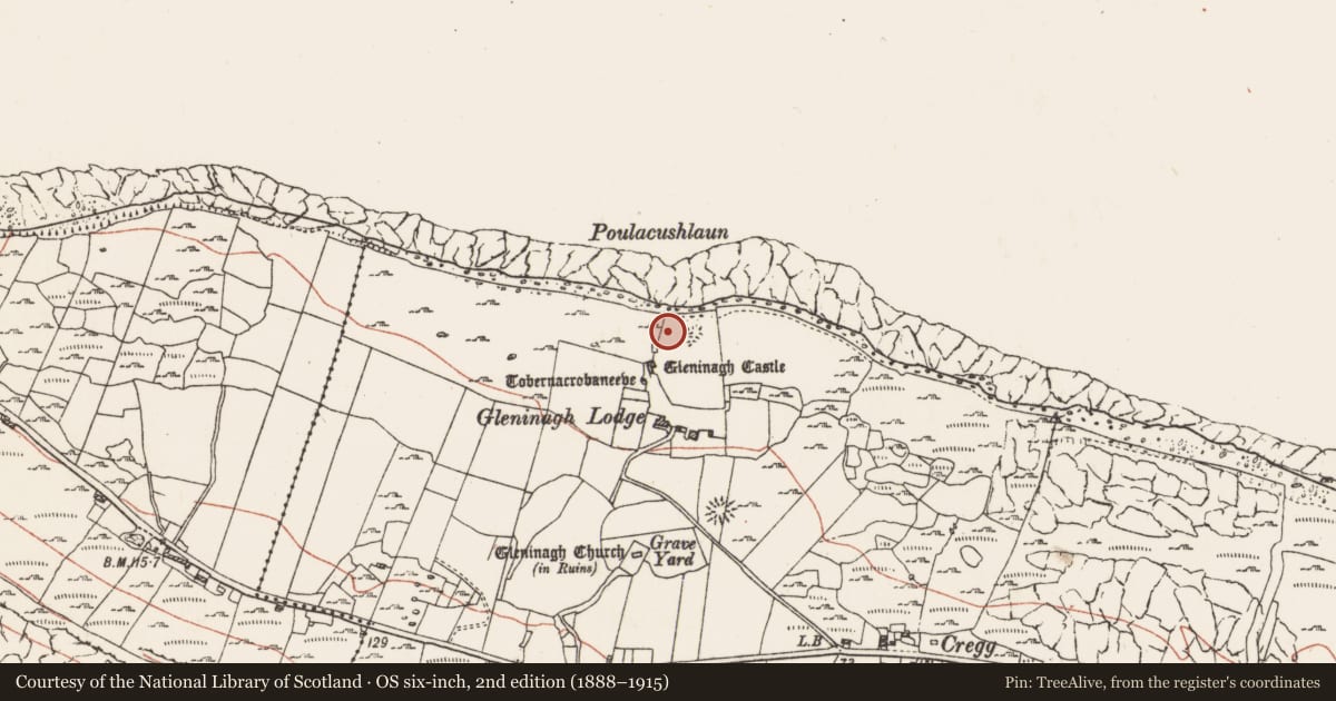Ordnance Survey six-inch map, 2nd edition (1888–1915) covering the location of Megalithic structure, Gleninagh North, County Clare, with a pin at the register's coordinates