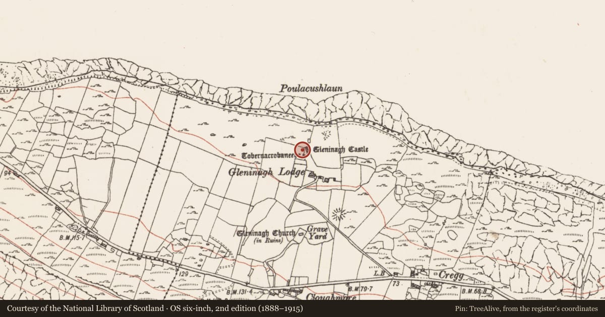 Ordnance Survey six-inch map, 2nd edition (1888–1915) covering the location of Bawn, Gleninagh North, County Clare, with a pin at the register's coordinates