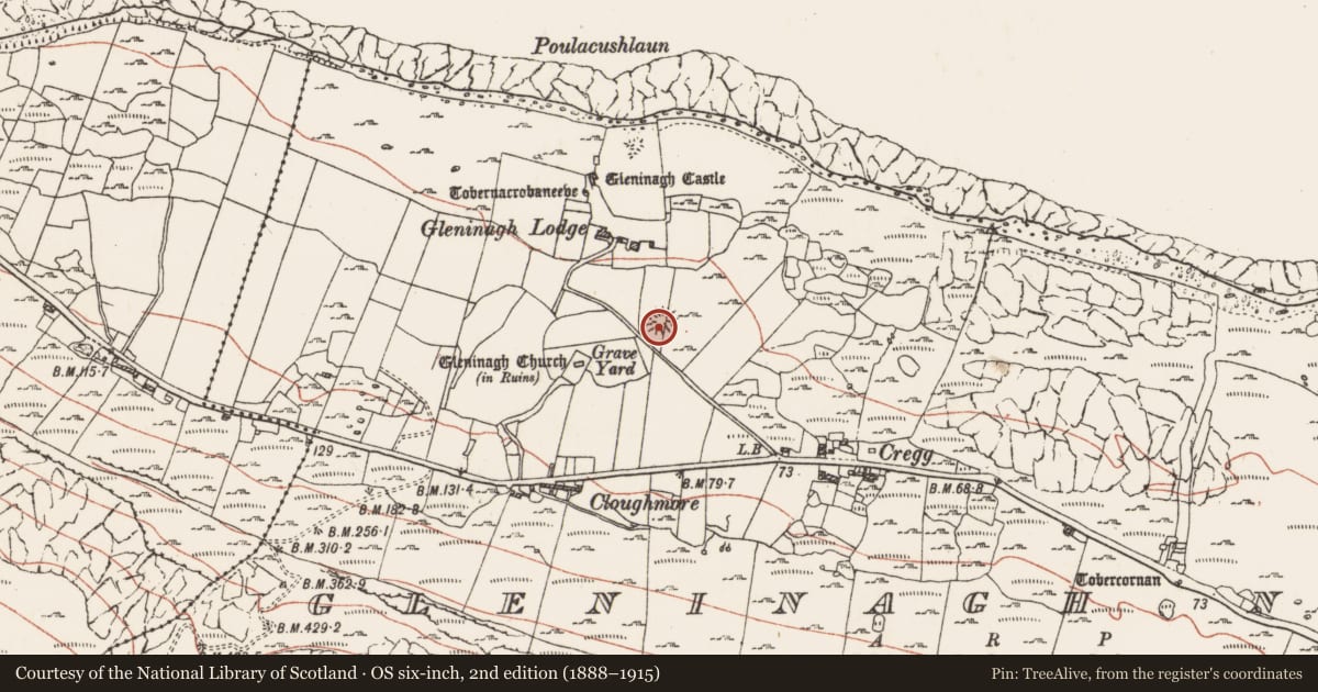 Ordnance Survey six-inch map, 2nd edition (1888–1915) covering the location of Ringfort - rath, Gleninagh North, County Clare, with a pin at the register's coordinates