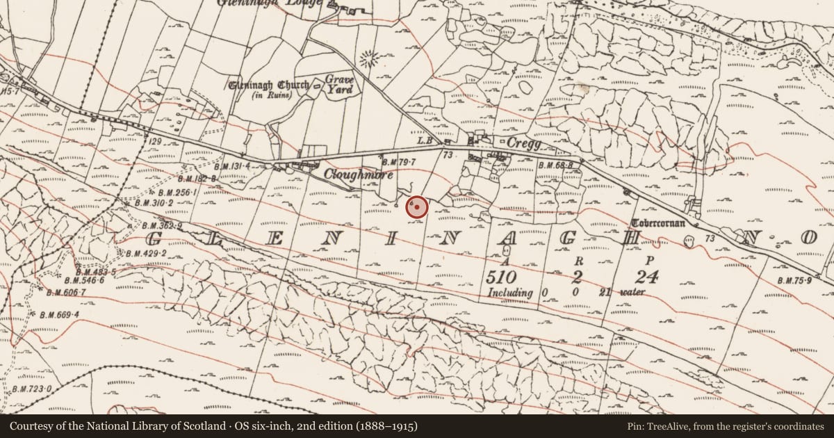Ordnance Survey six-inch map, 2nd edition (1888–1915) covering the location of Fulacht fia, Gleninagh North, County Clare, with a pin at the register's coordinates
