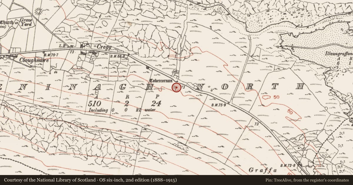 Ordnance Survey six-inch map, 2nd edition (1888–1915) covering the location of Fulacht fia, Gleninagh North, County Clare, with a pin at the register's coordinates