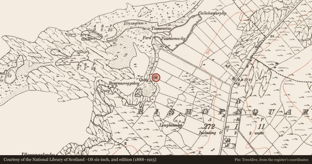 Ordnance Survey six-inch map, 2nd edition (1888–1915) covering the location of Enclosure, Bishopsquarter, County Clare, with a pin at the register's coordinates