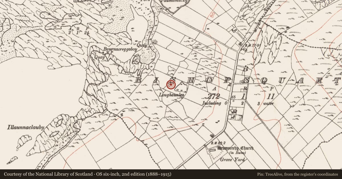 Ordnance Survey six-inch map, 2nd edition (1888–1915) covering the location of Enclosure, Bishopsquarter, County Clare, with a pin at the register's coordinates
