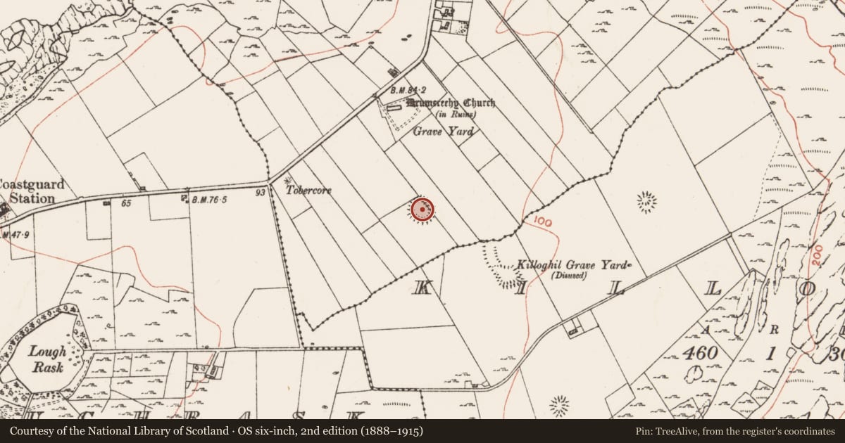 Ordnance Survey six-inch map, 2nd edition (1888–1915) covering the location of Ringfort - rath, Bishopsquarter, County Clare, with a pin at the register's coordinates
